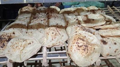 تموين القليوبية يحرر 13 مخالفة خلال حملة مفاجئة بشبين القناطر