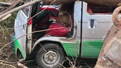 إصابة شخص وإتلاف سيارة أجرة إثرة سقوط شجرة في البحيرة| صور