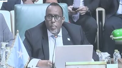 الصومال يدعو الدول العربية لـ الوقوف بجانبه ضد الاعتداءات الإسرائيلية المتكررة