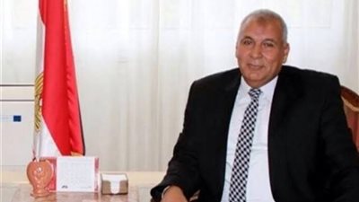 محافظ الوادي الجديد يصدر قرارًا بتشكيل لجنة المصالحات