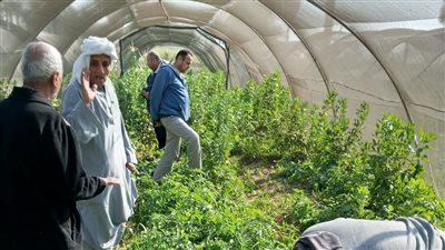 وزير الزراعة يوجه بتشديد الرقابة على المبيدات ومتابعة المحاصيل الشتوية بالصعيد