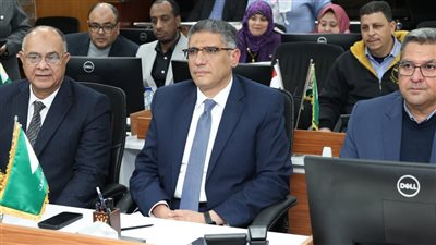 محافظ الجيزة بعد غلق لجان الإعادة بانتخابات النواب: العملية سارت بانتظام.. وأدينا دورنا على أكمل وجه