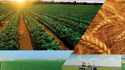 مشروعات الاستصلاح والتوسع الأفقي في مصر - أرشيفية 