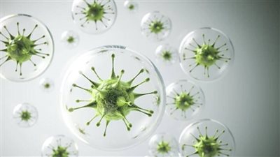 صحة كفر الشيخ تُصدر نشرتها الدورية للتوعية بطرق الوقاية من الإنفلونزا