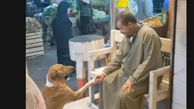 الراحمون يرحمهم الرحمن.. فيديو مؤثر لـ كلب يصافح جزارًا فيهديه طعامًا
