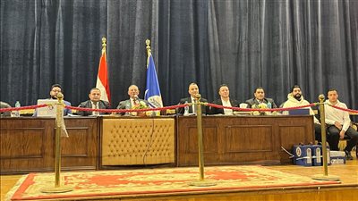 برلمانية ومستقلين.. نتيجة الحصر العددي لانتخابات مجلس النواب بدائرة دمنهور في البحيرة