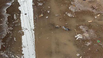 أمطار متوسطة ونشاط رياح.. كفر الشيخ ترفع درجة الاستعداد