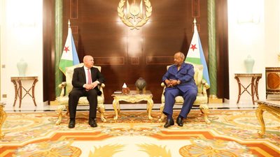  الرئيس الجيبوتي يستقبل كامل الوزير وممثلي وفد شركات القطاع العام والخاص