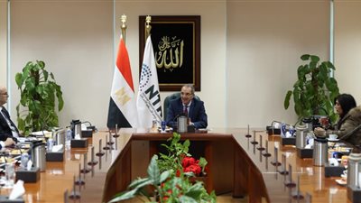 عمرو طلعت: قطاع الاتصالات الأعلى نموًا للعام السابع بنسبة تتراوح بين 14 و16%