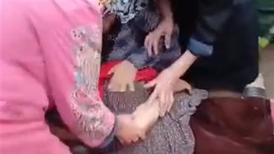 الأمن يفحص فيديو تعدي شخص بالضرب على مسن وزوجته بقرية كفر دخميس بالمحلة