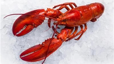 بطريقة أقرب لأفلام السرقة.. الاستيلاء على شحنة استاكوزا بقيمة نصف مليون دولار