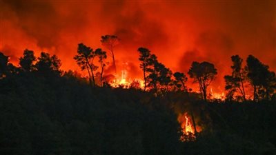 دراسة تحذر: دخان حرائق الغابات أخطر مما كان متوقعًا