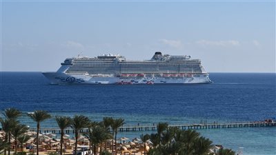 السفينة ارويا 