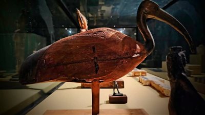 متحف سوهاج القومي يعرض قطعة أثرية فريدة خلال شهر يناير