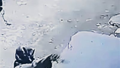 القبض على عامل أشعل النار في توك توك زوجة شقيقه بسبب الميراث بسوهاج 