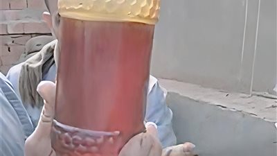 خلايا النحل تمنع دفن شخص بالمنوفية.. والأهالي دفناه بمقبرة أخرى وأكلنا العسل