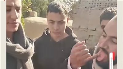 أهالي الكمايشة عن واقعة خلايا النحل في المقبرة: وزعنا 25 كيلو عسل من اللي استخرجناه