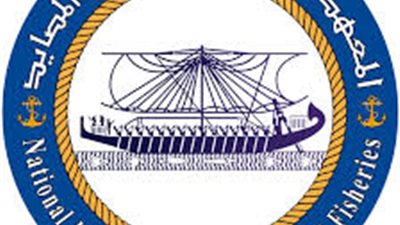  علوم البحار: جارٍ البدء في تنفيذ منظومة ذكية للإنذار المبكر ومراقبة مخاطر الموجات البحرية بدمياط