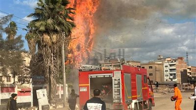 الدفع بـ5 سيارات إطفاء للسيطرة على حريق أشجار داخل سور مدرسة الصنايع بسمنود بالغربية