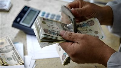 المالية تنفق أكثر من 263 مليار جنيه أجورًا وتعويضات للعاملين بالدولة خلال 5 أشهر