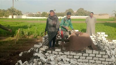 إزالة 3 حالات تعدٍ على الأراضي الزراعية في سوهاج