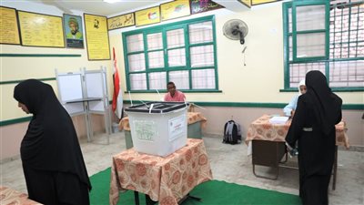 انتخابات النواب.. بدء فتح اللجان أمام الناخبين للإدلاء بأصواتهم في أسوان