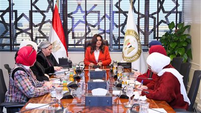 وزير البيئة: نستهدف تعزيز كفاءة استخدام الطاقة بالقطاع الصناعي للحفاظ على الموارد