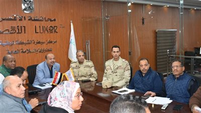 انتظام التصويت وفتح اللجان في موعدها باليوم الثاني لجولة إعادة انتخابات النواب بالأقصر