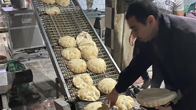 محافظ الدقهلية: تحرير 13 محضرًا متنوعًا خلال حملة رقابية على 22 مخبزًا بالمنصورة وتمي الأمديد