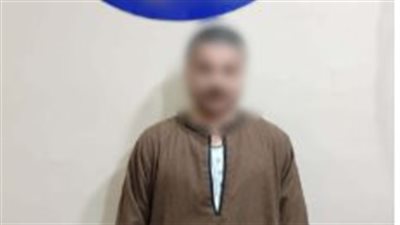 ضبط شخص بالجيزة لحثه الناخبين على التصويت لصالح أحد المرشحين