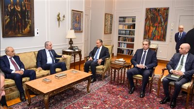 وزير الخارجية يستقبل نائب رئيس فلسطين خلال زيارته إلى القاهرة