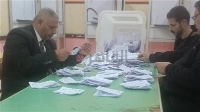 فوز مرشحي مستقبل وطن وحماة الوطن بمقاعد الدائرة الرابعة بأبو قرقاص في جولة الإعادة