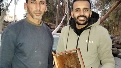 نحال بعد استخراج 13 خلية نحل من مقبرة بالمنوفية: لا صحة لما تردد عن تغذيها على جثث الموتى