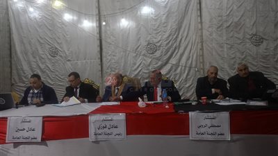 فوز علي بدوي وسيد أبو بريدعة وأحمد الصياد بمقاعد الدائرة الأولى بالمنيا