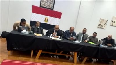 الدائرة الأولى تعلن عن فوز مدحت المنصوراوي بجولة إعادة انتخابات النواب بأسوان