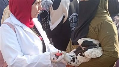  بيطري القليوبية: تحصين 141 ألف طائر وتنفيذ 26 حملة تطهير لحماية الثروة الداجنة