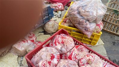 تموين القليوبية تضبط طن دواجن وبانيه مجمد بدون بيانات في شبين القناطر 
