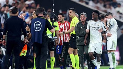 عقب مشادته مع فبنيسيوس.. سيميوني: أمور الملعب تنتهي داخله