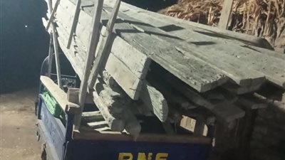 إزالة شدة خشبية مخالفة بقرية الزيتون بمركز ناصر بمحافظة بنى سويف 
