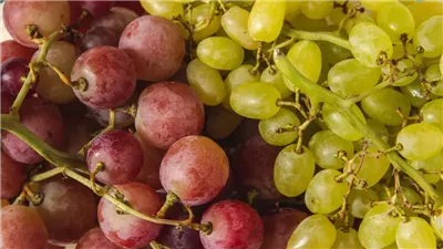 ممارسات غريبة لتنظيف المعدة تسبب كوارث صحية.. تعرف عليها