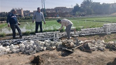 إزالة 3 حالات تعد على الأراضي الزراعية بشندويل في سوهاج