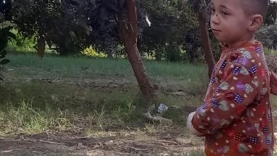 التحقيق في واقعة العثور على صغير غارقًا بترعة بعد تغيبه في قنا 