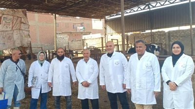 انطلاق الحملة القومية الاستثنائية لتحصين الماشية ضد الحمى في القليوبية