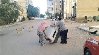 الإمساك بـ 8 كلاب.. حملة لإجراء عمليات تعقيم لمواجهة ظاهرة انتشار الكلاب الضالة بالغردقة| صور