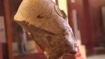 من رمال العمارنة إلى الخلود.. المتحف المصري بالتحرير يعرض قطعة فريدة للملك إخناتون