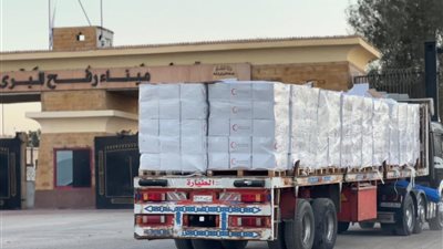 الهلال الأحمر المصري يدعم غزة بأكثر من 7 آلاف طن مساعدات إنسانية شتوية 