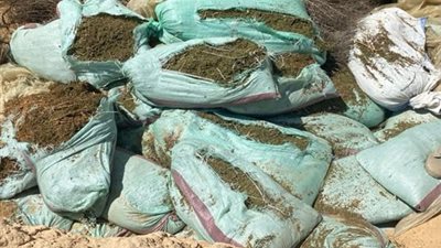 المشدد 15 عاما لتاجري مواد مخدرة في جنوب سيناء