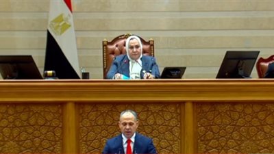 انطلاق الجلسة الافتتاحية لمجلس النواب بالعاصمة الجديدة