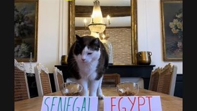 بعد فشله في توقع مباراة كوت ديفوار.. القط نيمبوس يتوقع فوز السنغال على مصر بنصف نهائي أمم إفريقيا