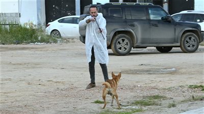 حملة لتعقيم وتطعيم الكلاب الضالة ضد مرض السعار في البحيرة